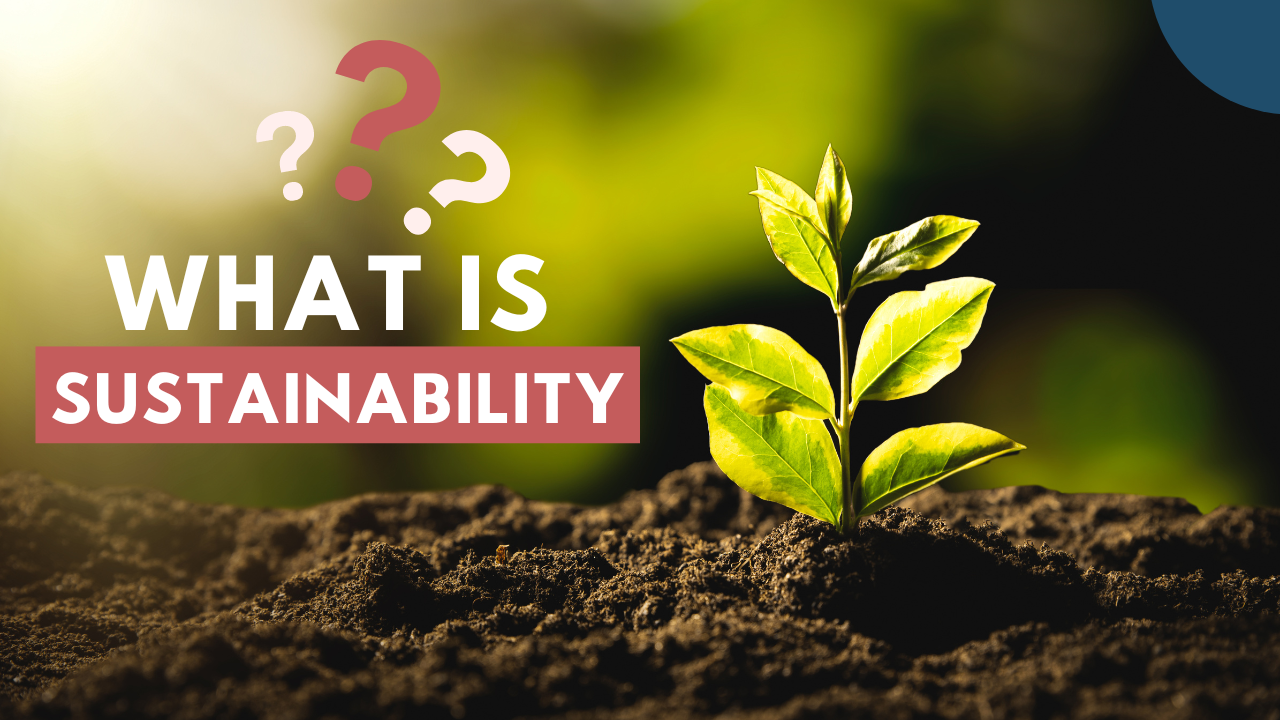 Read more about the article What is Sustainability?